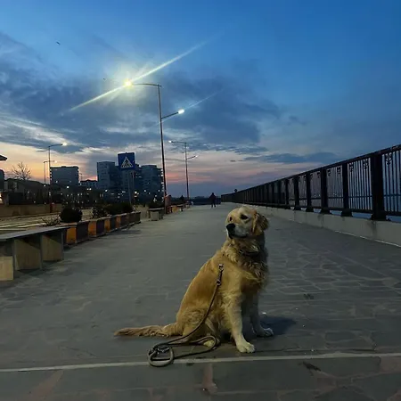 아파트 Sky44apt Delfinariu Faleza Nord 콘스탄차