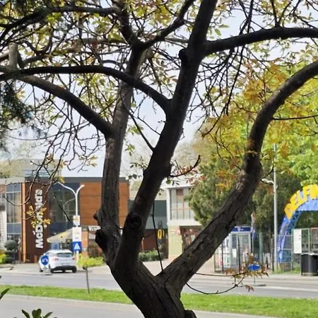 Sky44apt Delfinariu Faleza Nord 아파트 콘스탄차