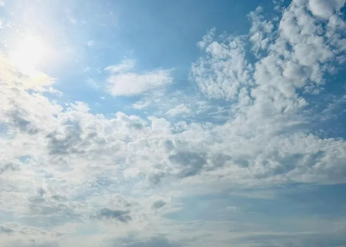 アパート Sky44apt Delfinariu Faleza Nord *