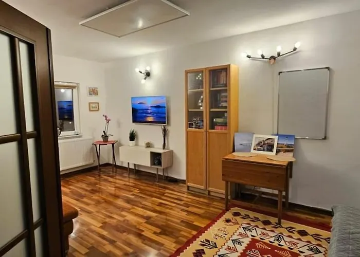 Sky44apt Delfinariu Faleza Nord アパート