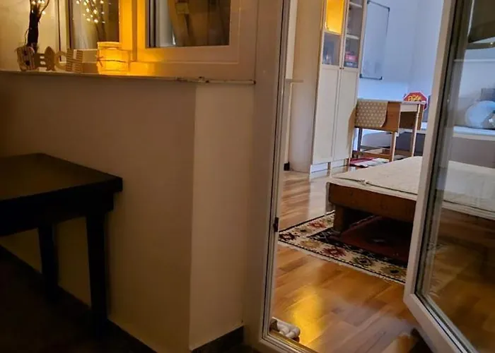 Sky44apt Delfinariu Faleza Nord アパート *