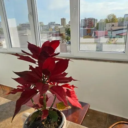 Sky44apt Delfinariu Faleza Nord Constanţa