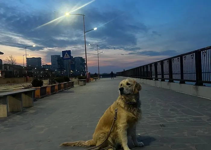 アパート Sky44apt Delfinariu Faleza Nord コンスタンツァ