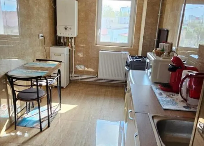 Sky44apt Delfinariu Faleza Nord アパート