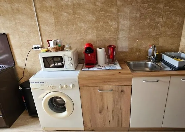 アパート Sky44apt Delfinariu Faleza Nord