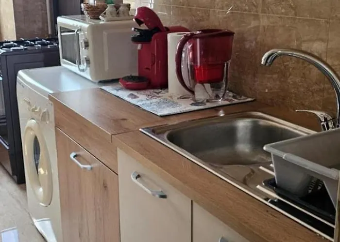 Sky44apt Delfinariu Faleza Nord アパート *